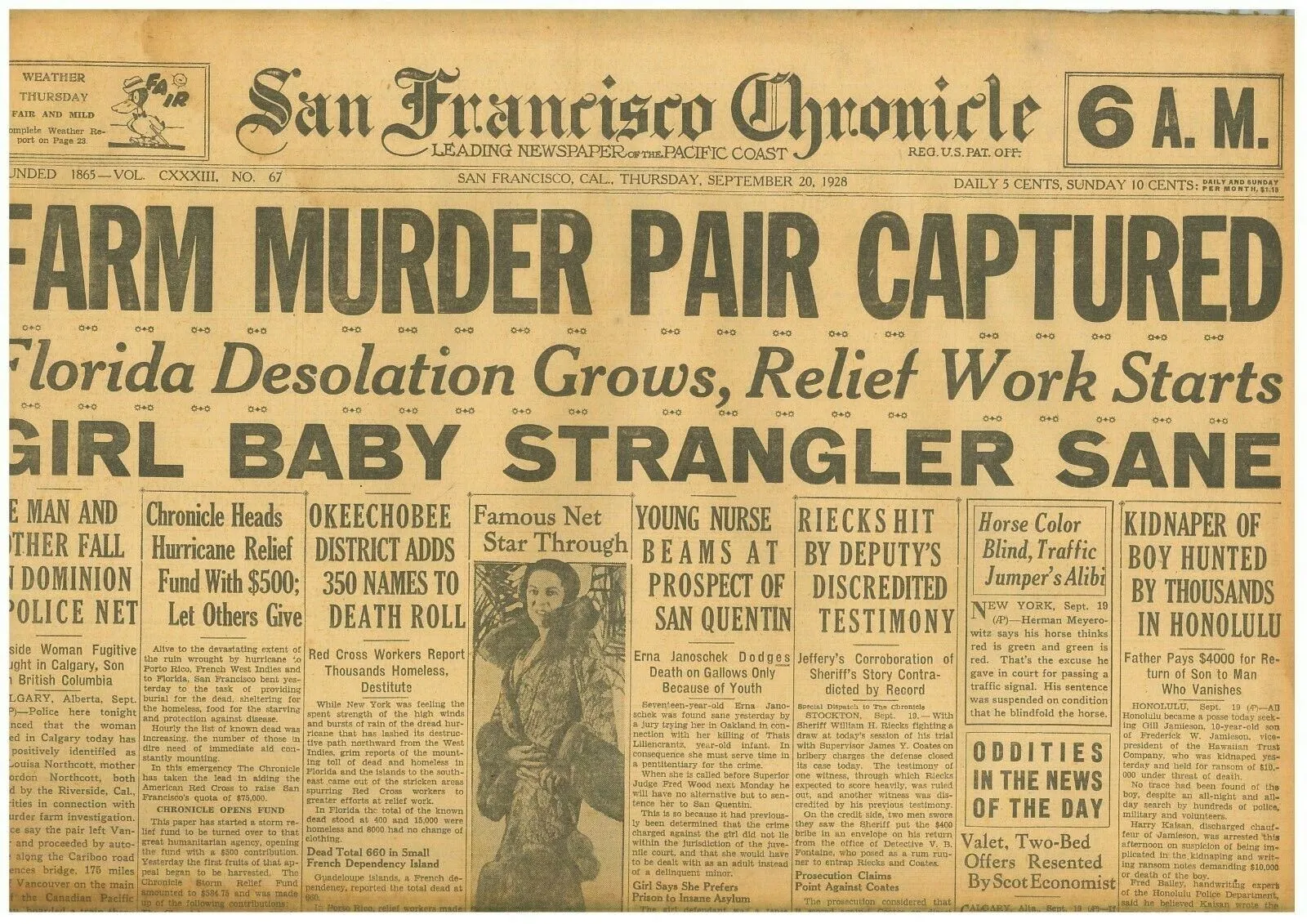 54375 coop inspection chicken coop