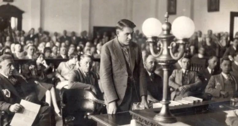 54375 missing chickens chicken coop