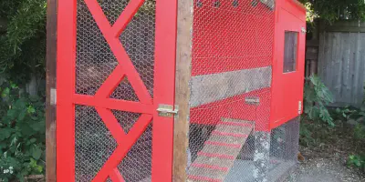 /img/54377-predator-proof-chicken-coop.webp