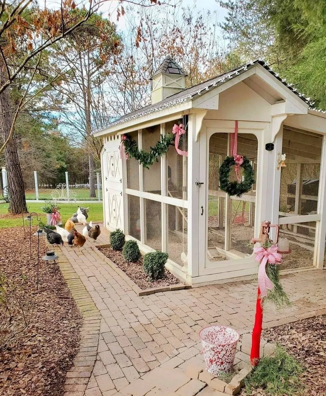 54379 chicken coop nesting box