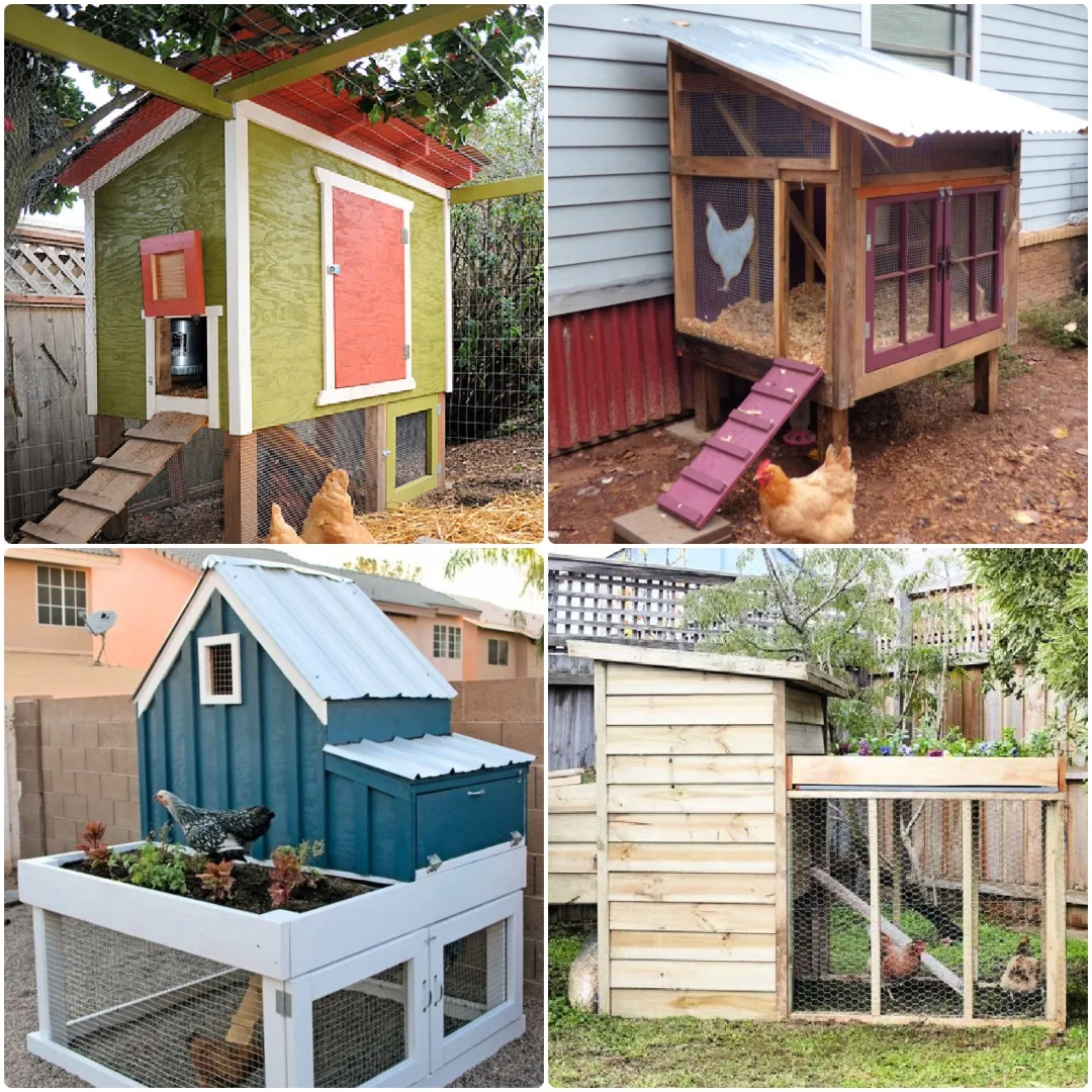 54380 pallet chicken coop