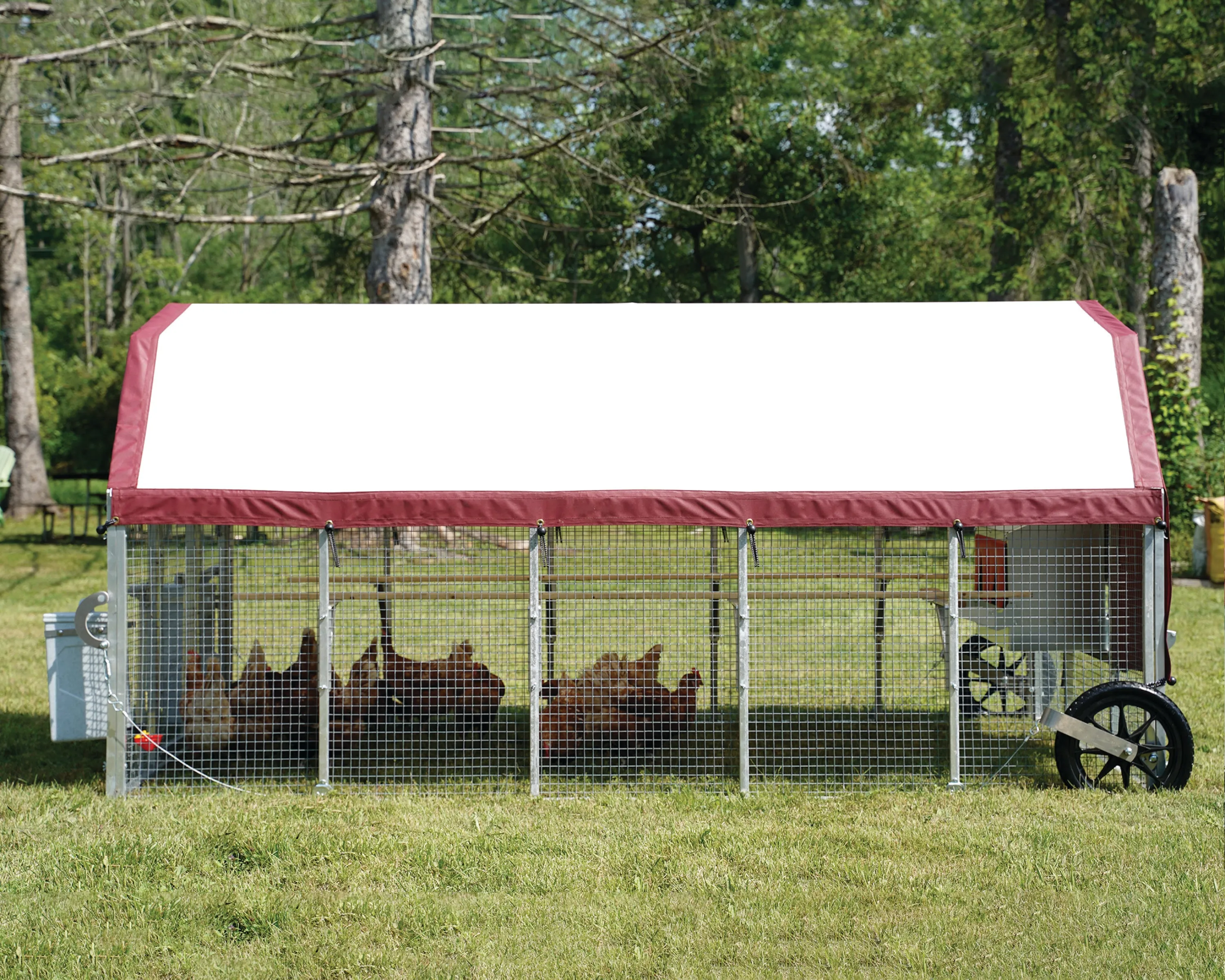 54381 chicken coop door