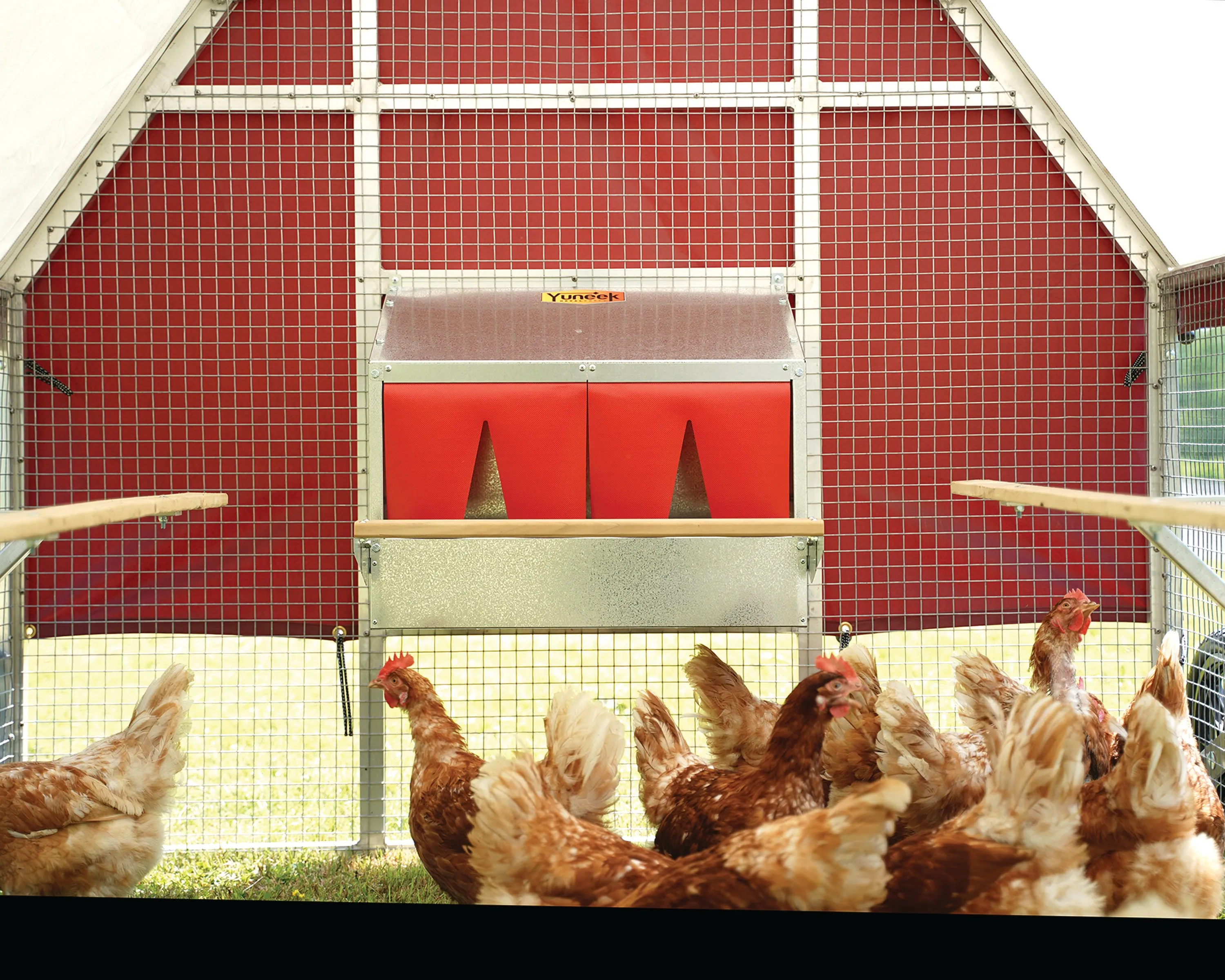 54381 chicken coop frame