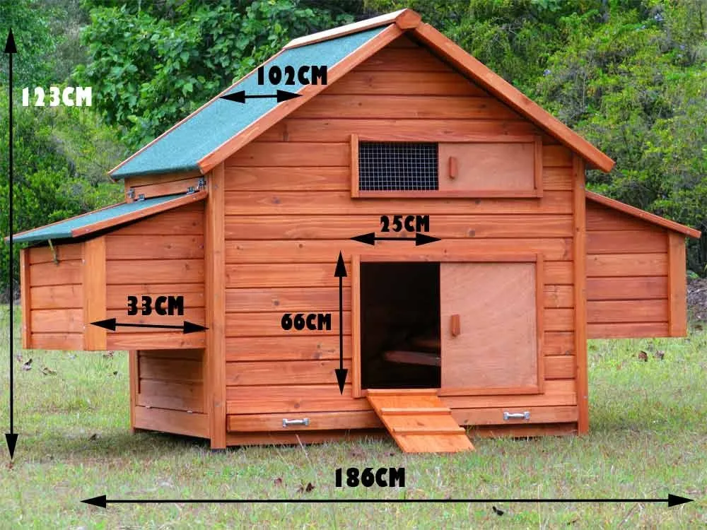 54382 predator proof chicken coop