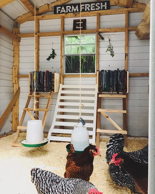 54383 chicken coop ventilation