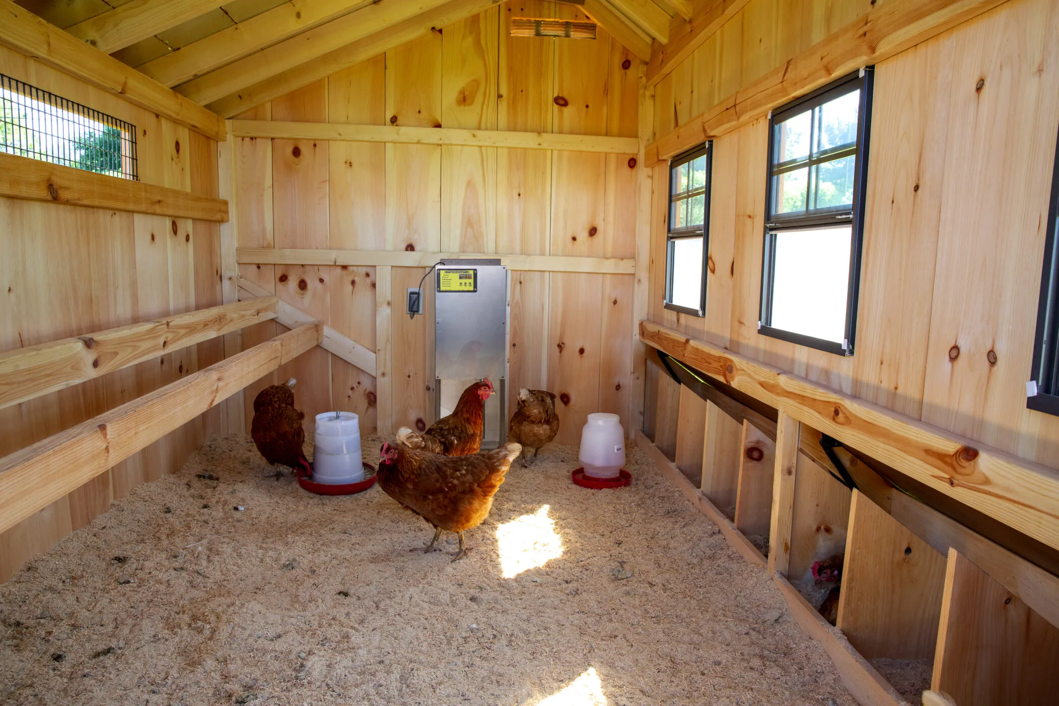 54383 shed chicken coop design