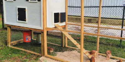 /img/54384-chicken-coop-ventilation.webp
