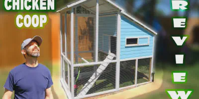 /img/54386-durable-chicken-coop.webp