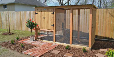 /img/54387-chicken-coop-maintenance.webp