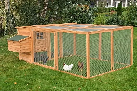 54388 amazon chicken coop overview