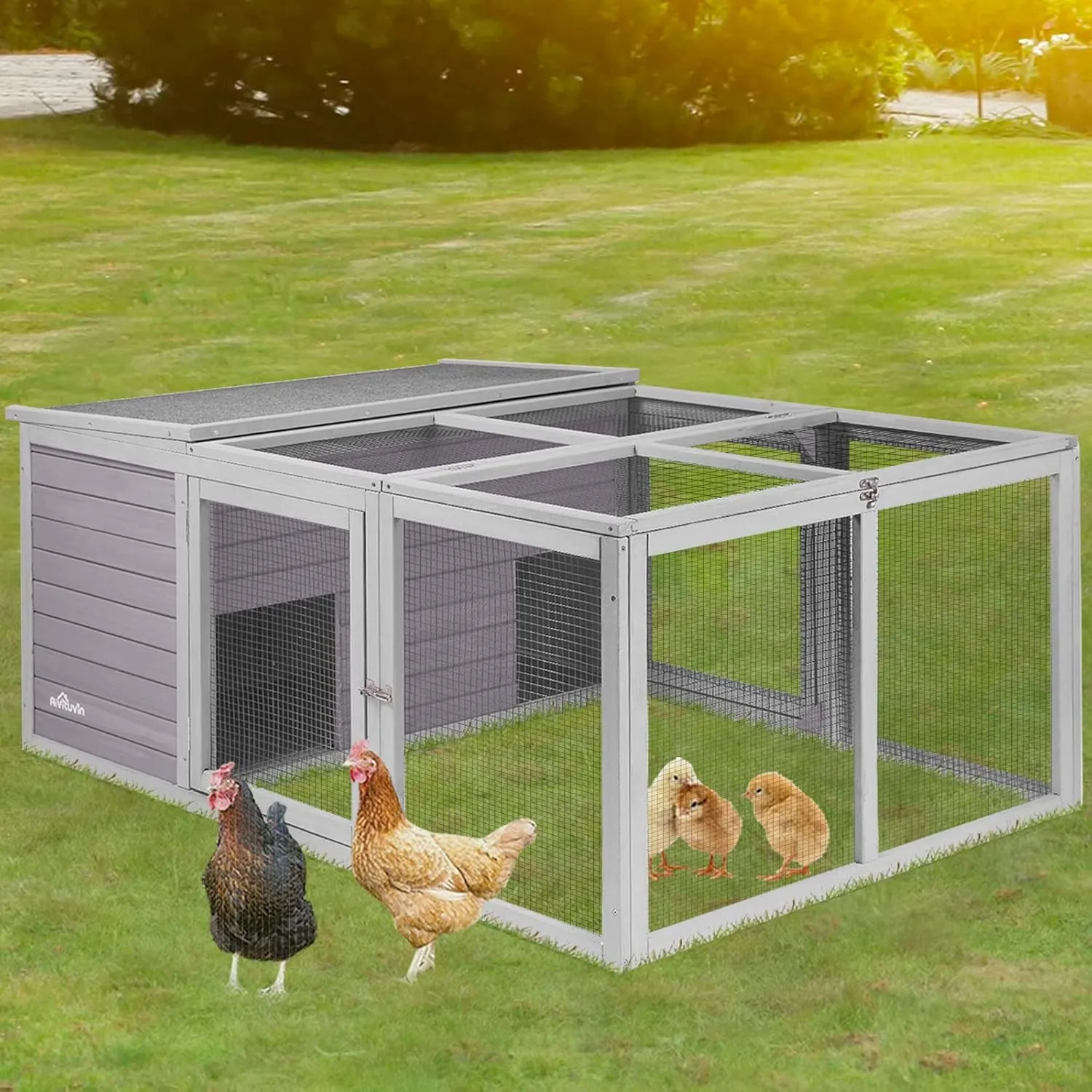 54388 amazon chicken coop pick 1