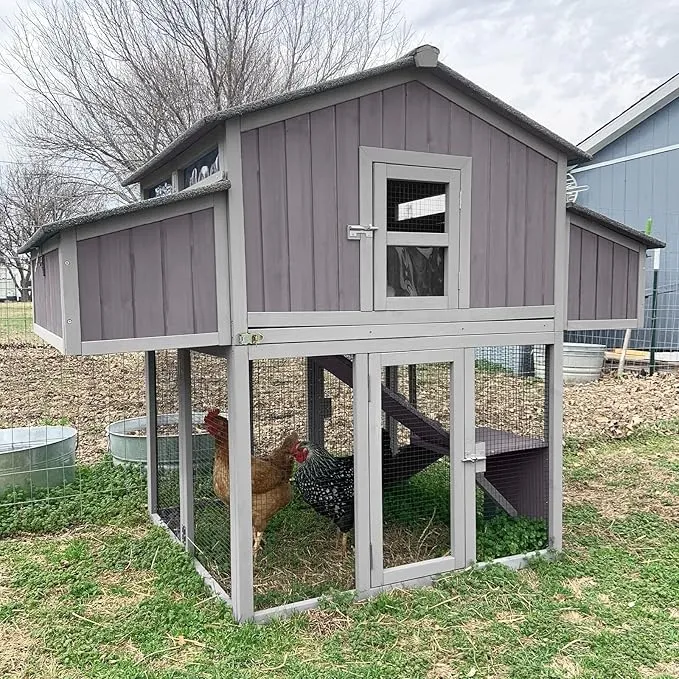 54388 chicken coop size requirements