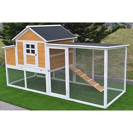 /img/54389-amazon-chicken-coop-2.webp