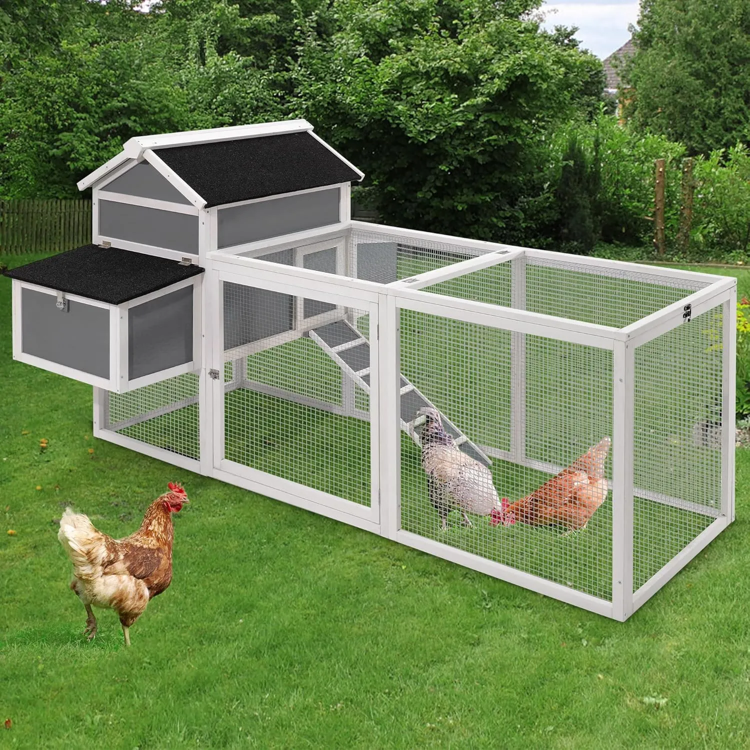 54389 traditional chicken coop