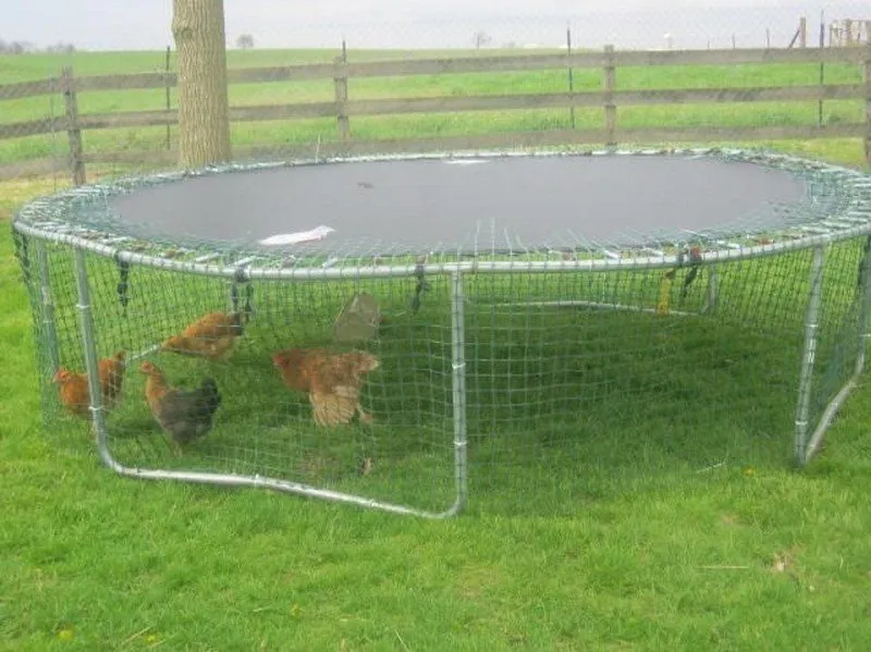 54390 chicken coop ventilation