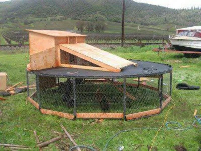 54390 trampoline chicken coop design