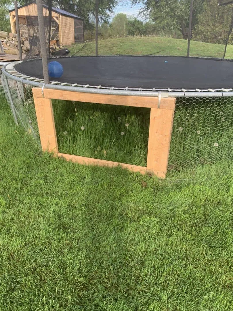 54390 trampoline coop cleaning