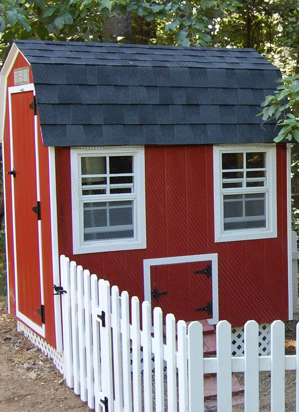 54391 chicken coop window cleaning