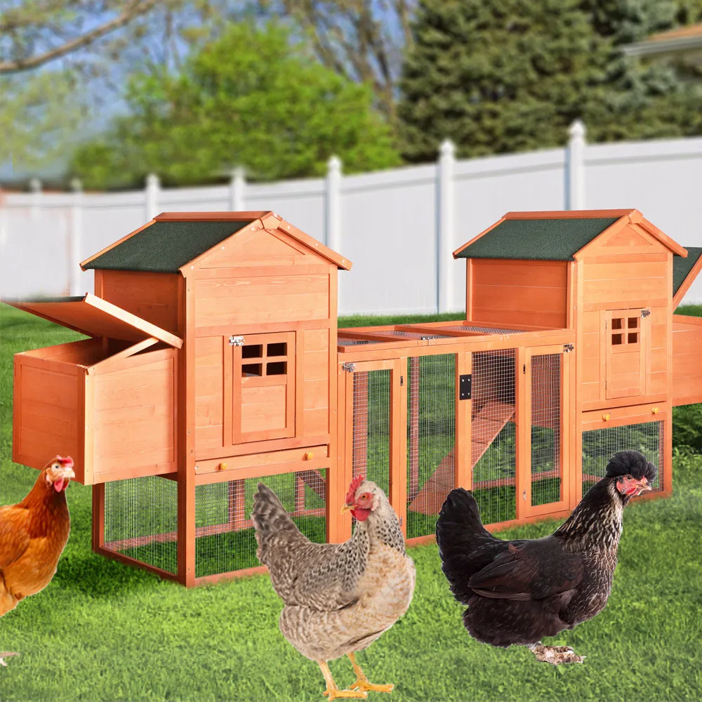 54392 chicken coop wayfair 2