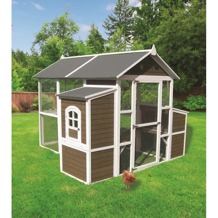 54392 chicken coop wayfair 5