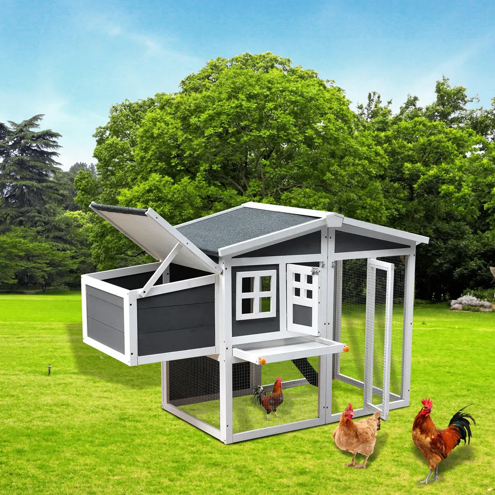 54392 chicken coop wayfair 6