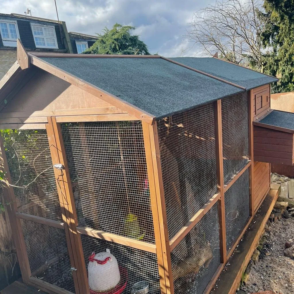 54394 big chicken coop design 5