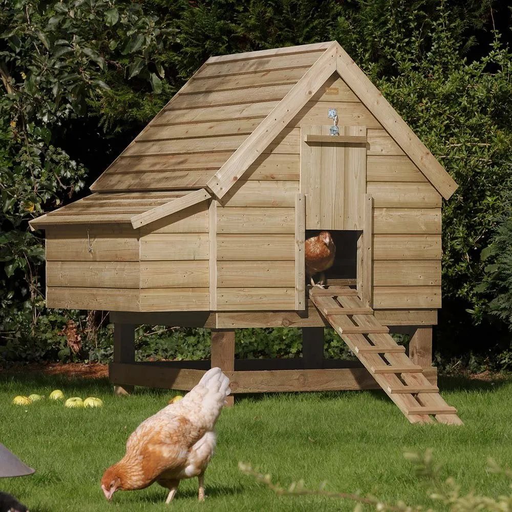 /img/54394-big-chicken-coop-design-8.webp
