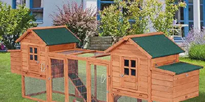 /img/54395-chicken-coop-security.webp