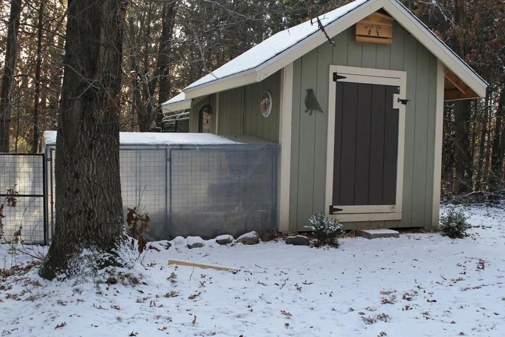 54397 chicken lighting