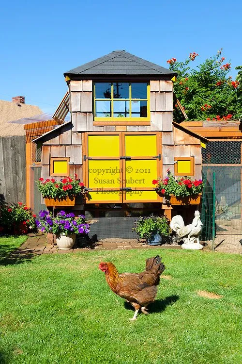 54398 chicken coop interior