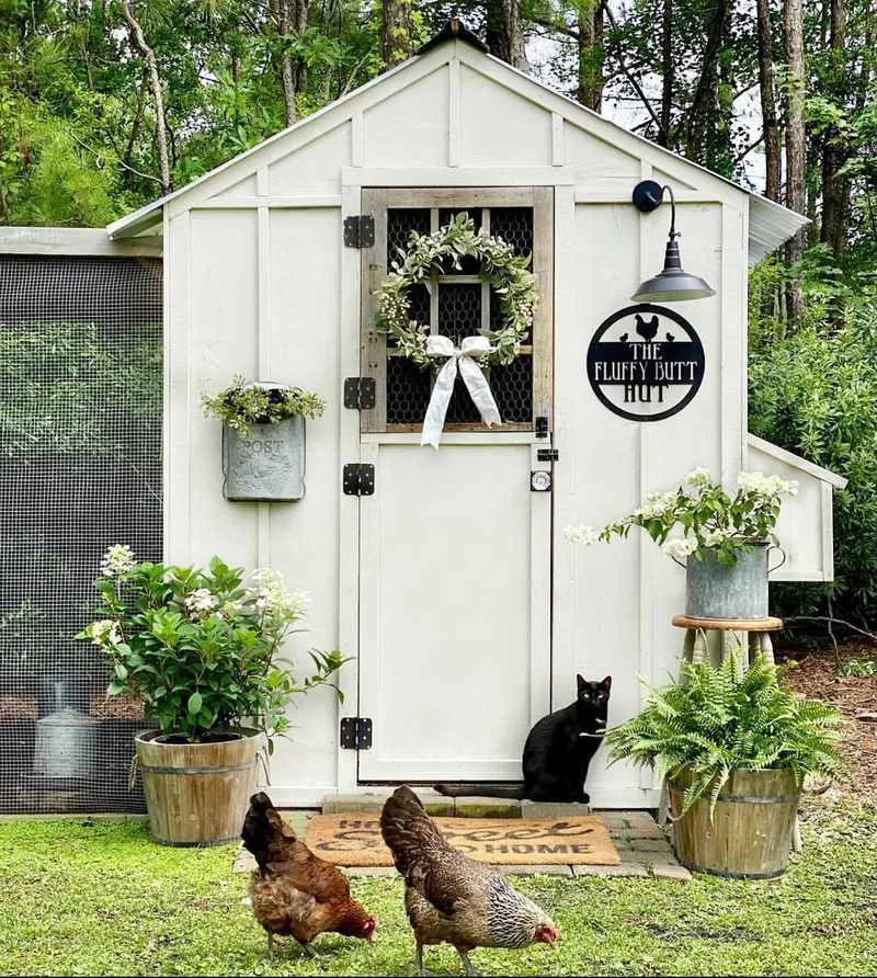 54398 chicken coop materials