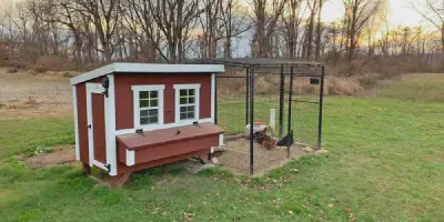 /img/54399-overez-chicken-coop-interior-features.webp