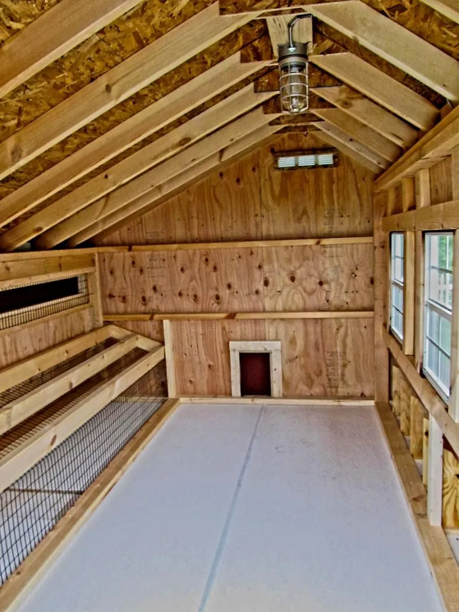 54401 chicken coop run