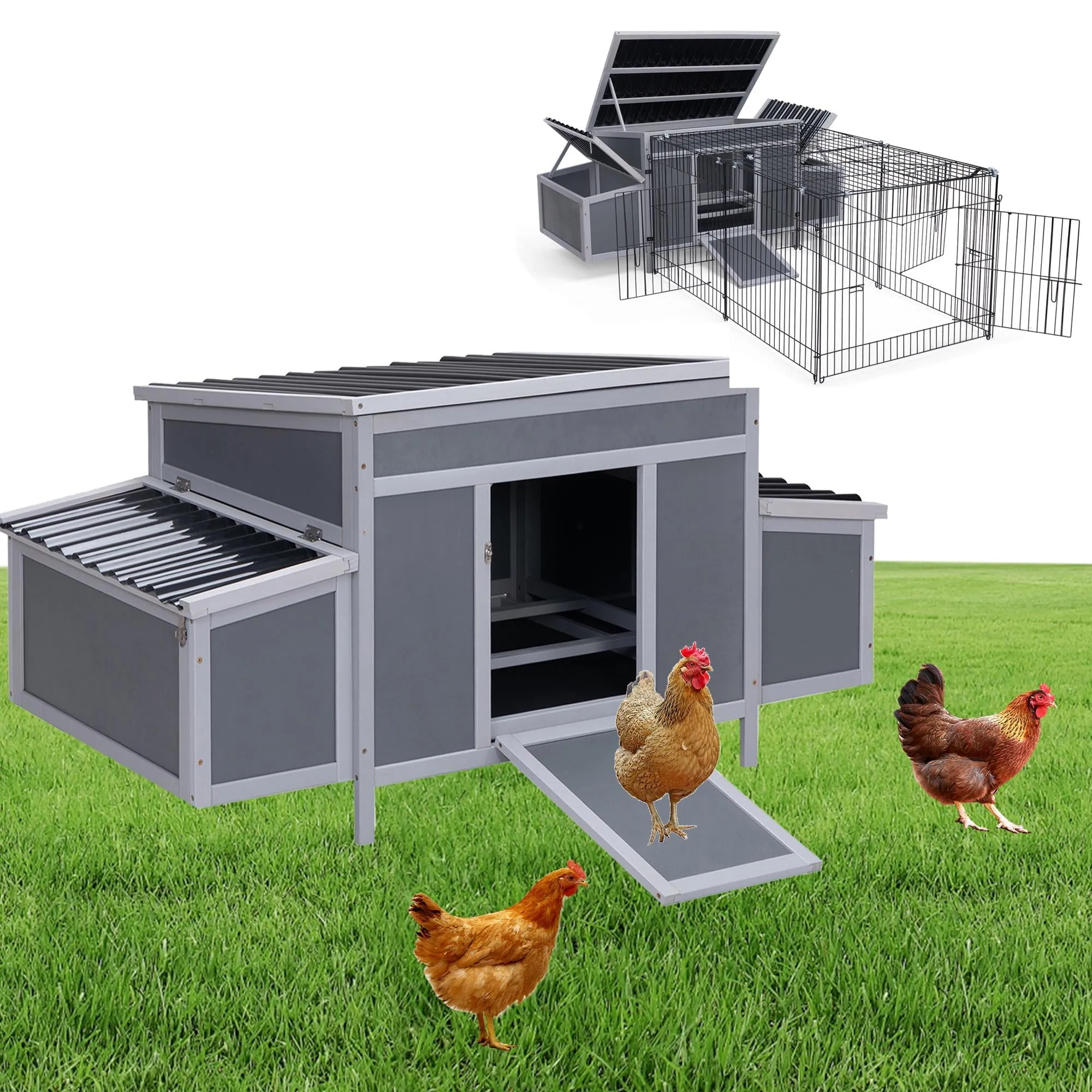 54403 chicken coop interior