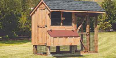 /img/54403-chicken-coop-maintenance.webp