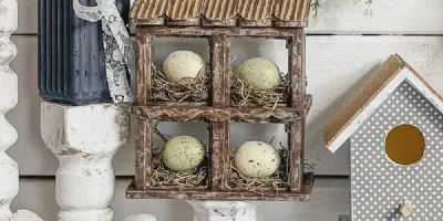 /img/54404-chicken-coop-plants.webp