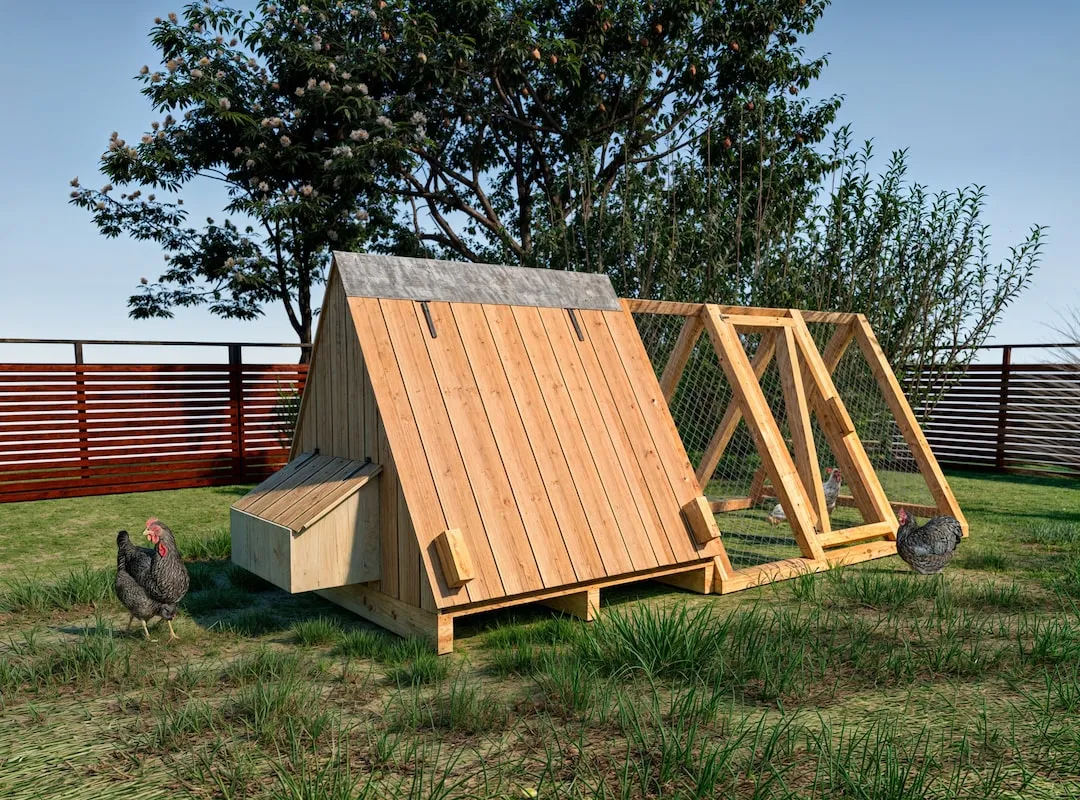 54405 chicken coop space