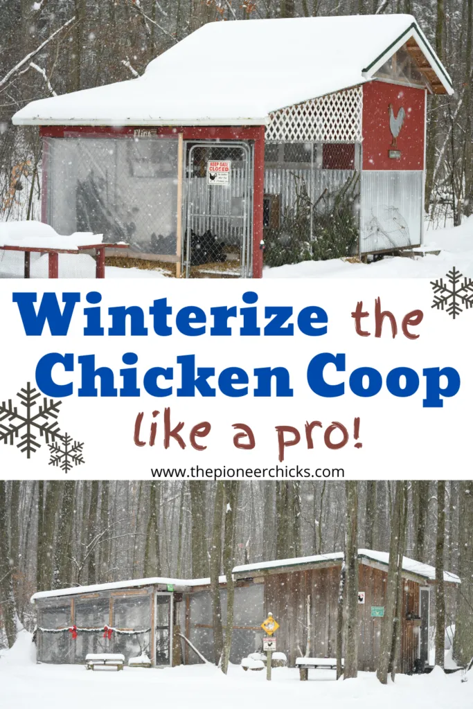 54406 chicken coop ventilation