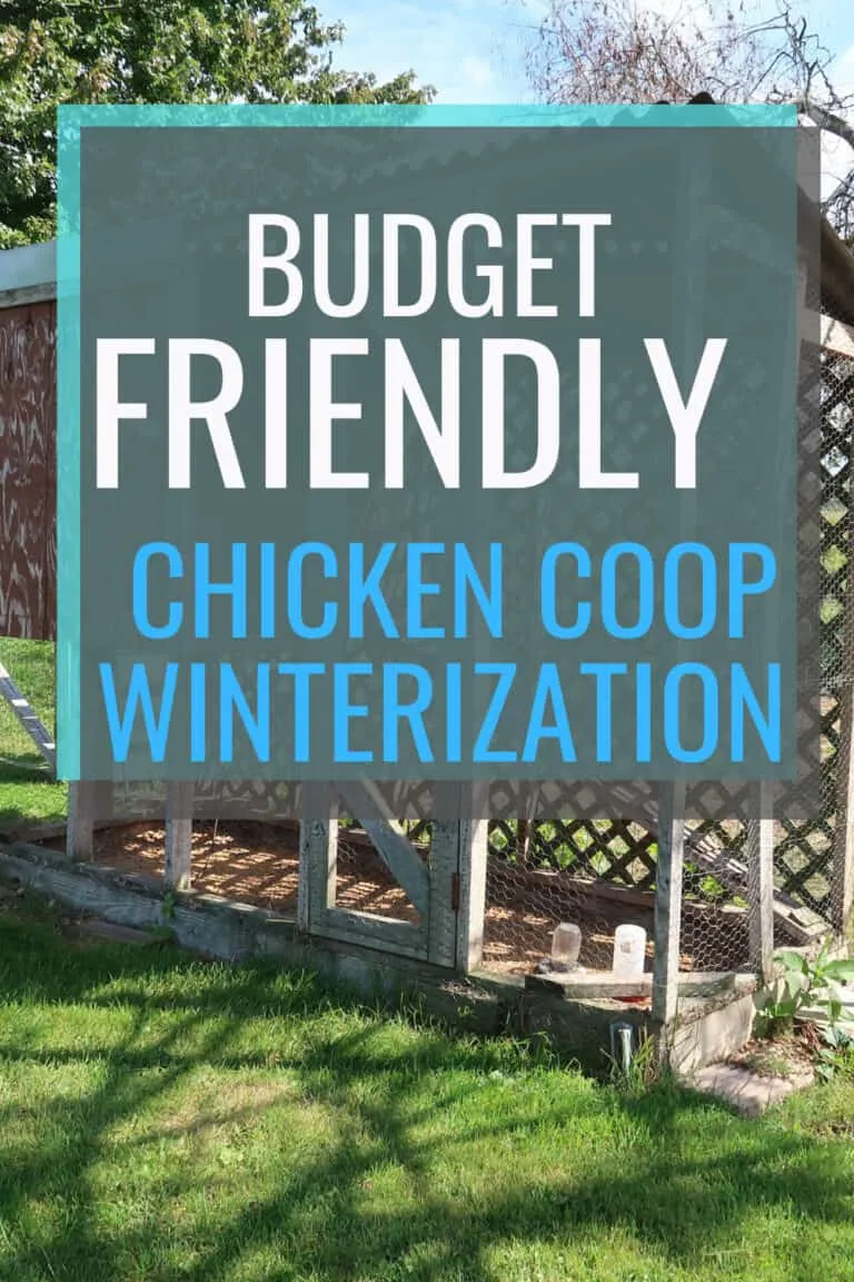 54406 heated chicken waterer