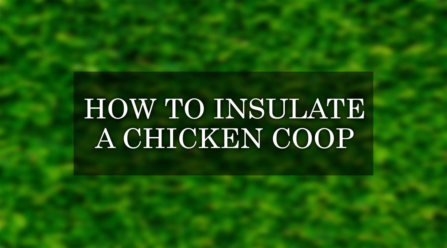 54407 chicken coop climate considerations