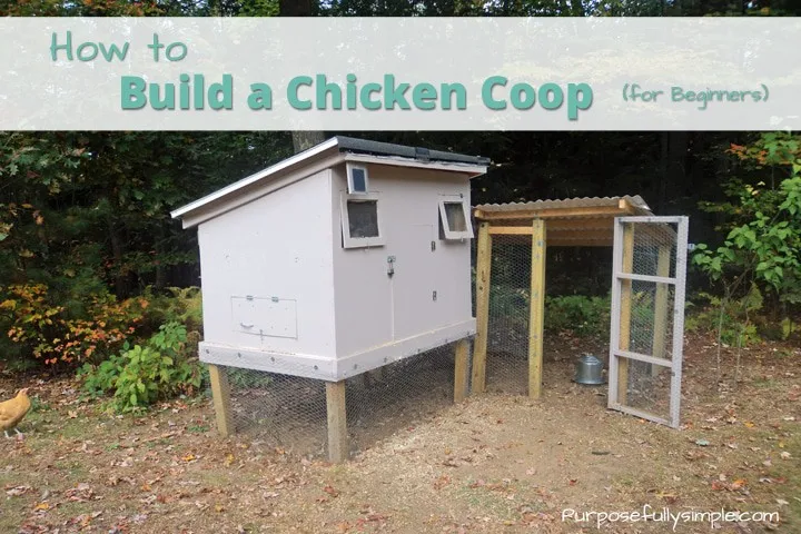 /img/54408-chicken-coop-run.webp