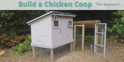 /img/54408-chicken-coop-run.webp
