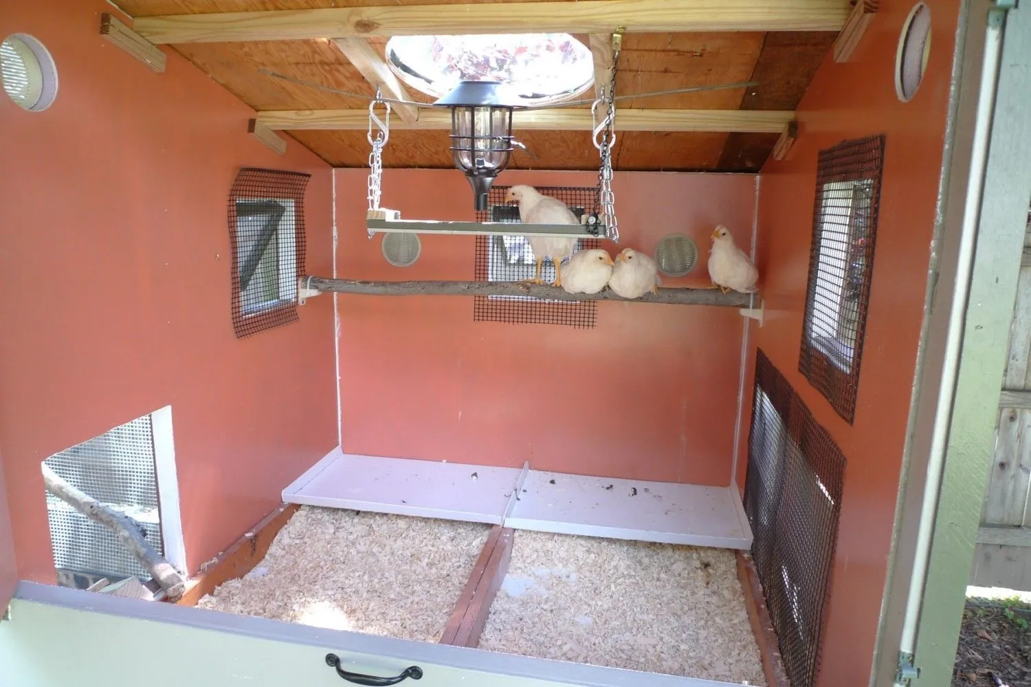54410 installing insulation chicken coop