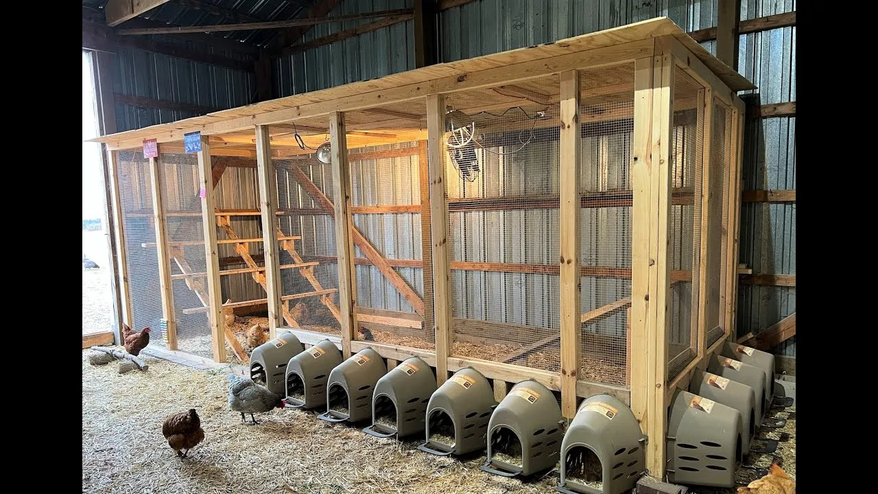 54413 coop cleaning and maintenance