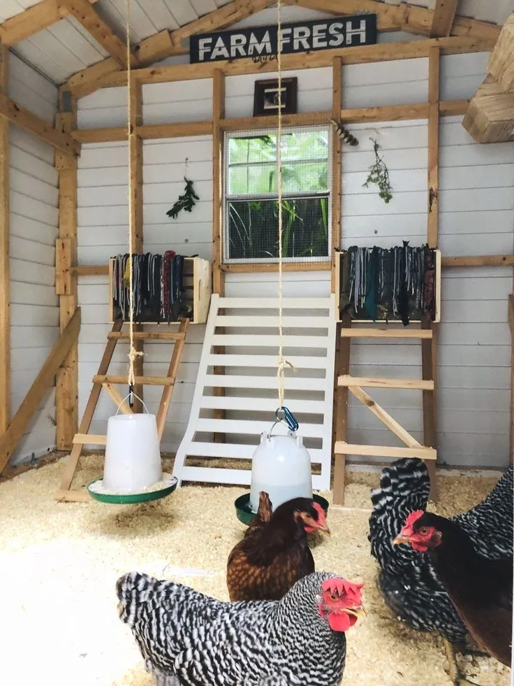 54413 indoor chicken coop design