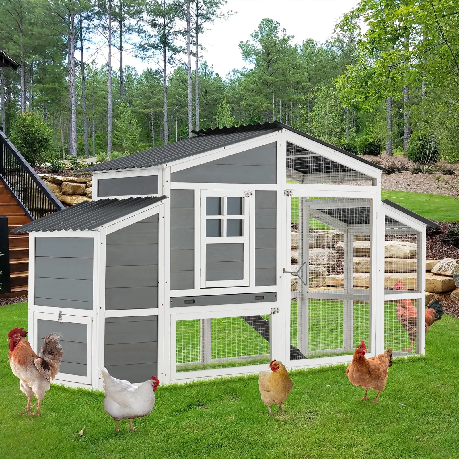 54414 chicken coop clearance research