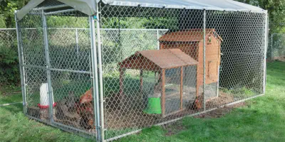/img/54417-chicken-coop-wire-installation.webp