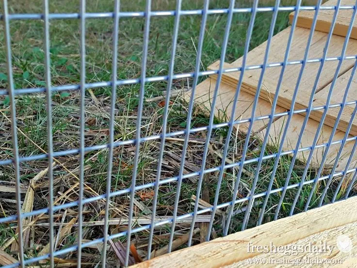 54417 chicken coop wire maintenance