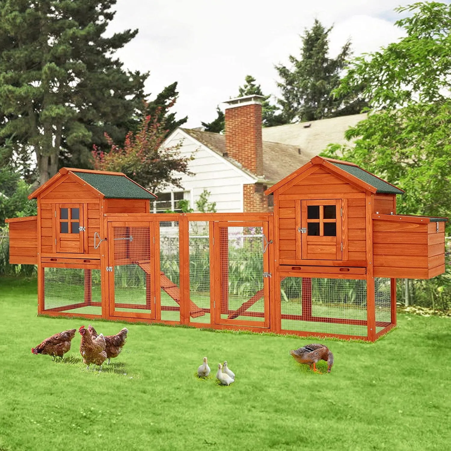 54418 chicken coop clearance main