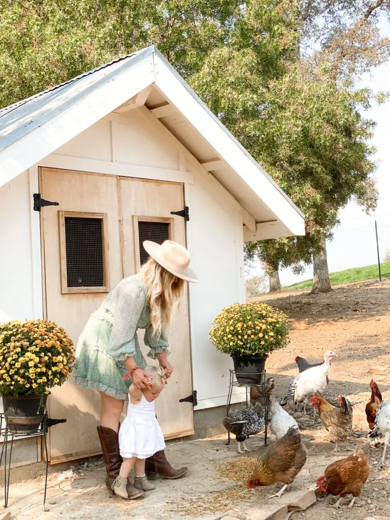 54419 coop ventilation